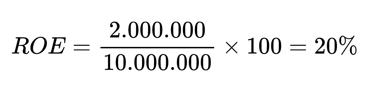 Exemple calcul ROE